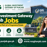 Global Investment Gateway of Punjab Jobs – Apply Online | Male & Female